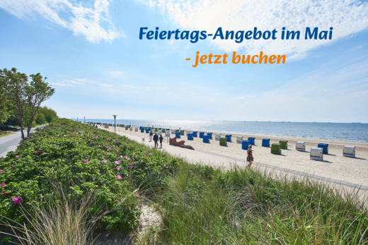 Feiertags-Angebote im Mai